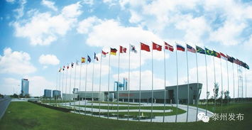 新春開(kāi)門紅 20個(gè)產(chǎn)業(yè)化項(xiàng)目扎堆中國(guó)醫(yī)藥城，技術(shù)服務(wù)開(kāi)啟新篇章